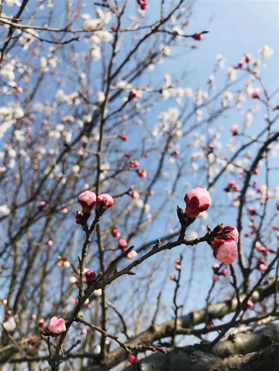 D:\我的文檔\WeChat Files\K646557966\FileStorage\Temp\860c346a8f4cedbc526a7e05d81022ef.jpg